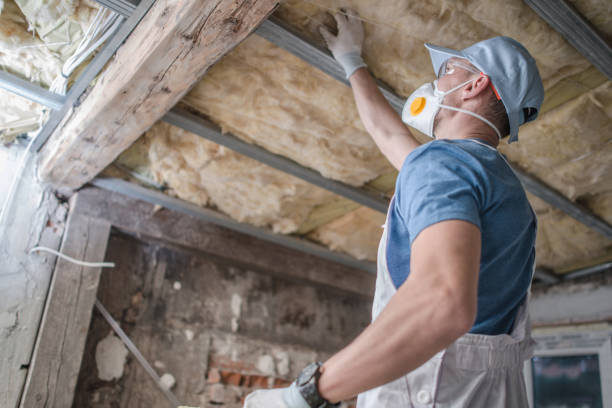 Best Insulation Materials and Products in Galatia, IL
